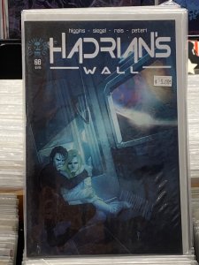 Hadrian's Wall #8 (2017)