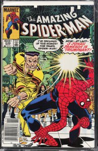 The Amazing Spider-Man #246 (1983) Spider-Man