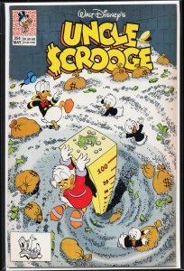 Uncle Scrooge #254 (1991)
