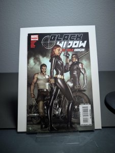 Black Widow: Deadly Origin #1 (2010) Black Widow
