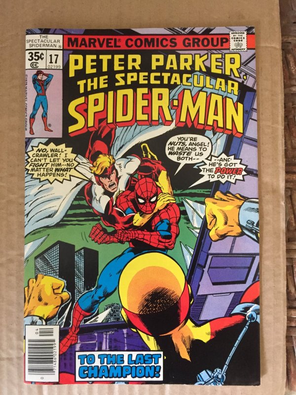 Peter Parker The Spectacular Spider-Man #17