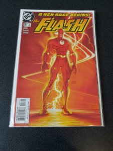 The Flash #207 (2004)