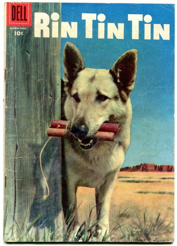 Rin Tin Tin #12 1956-Dell-photo cover- German Shepherd- fair