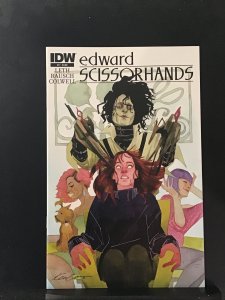 Edward Scissorhands #2 (2014)