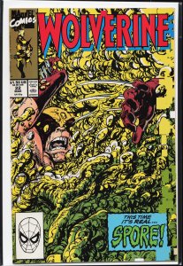 Wolverine #22 (1990) Wolverine