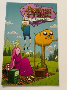 Adventure Time With Finn and Jake #9 Cover C.