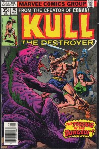 Kull the Destroyer #25 (1978) Kull