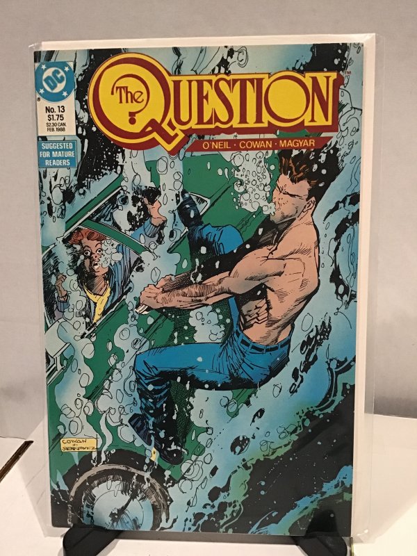 The Question #13 (1988)