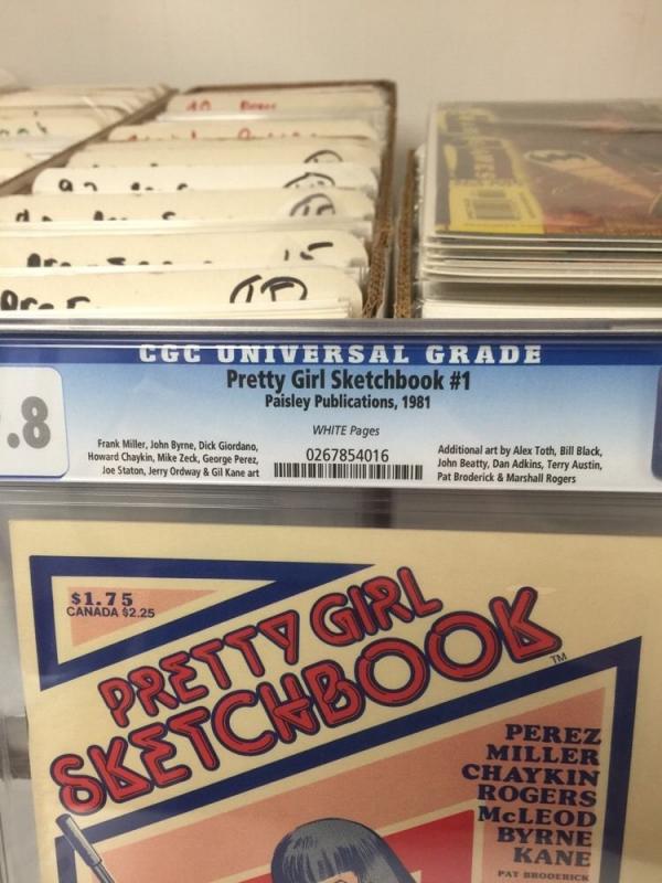 Pretty Girl Sketchbook Cgc 9.8 White Pages Vhtf! Miller Byrne Perez Kane Zeck 