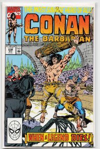 Conan the Barbarian #238 (1990) Conan