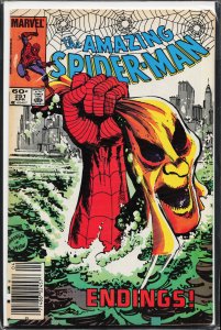 The Amazing Spider-Man #251 (1984) Spider-Man