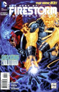 Fury of Firestorm: The Nuclear Men   #11, NM (Stock photo)