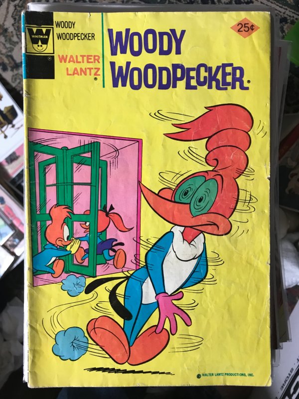 Walter Lantz Woody Woodpecker #147 Whitman Variant (1975)