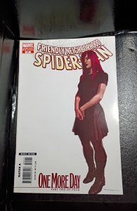 Friendly Neighborhood Spider-Man #24 White Cover (2007)