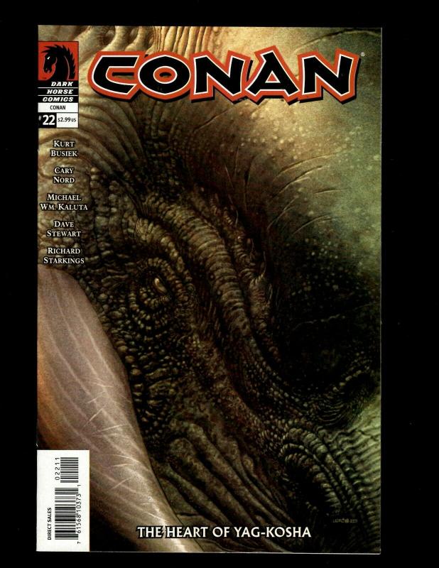 Lot of 12 Conan Dark Horse Comic Books #11 12 13 14 15 16 17 18 19 20 21 22 SM20