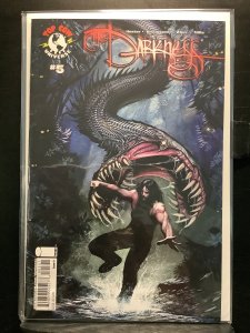 The Darkness #5 Cover B by Stjepan Sejic (2008)