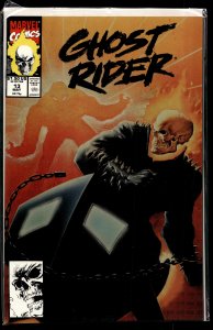 Ghost Rider #13 (1991) Ghost Rider
