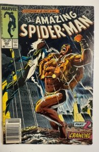 The Amazing Spider-Man #293 (1987)