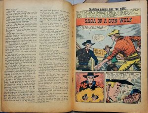 OUTLAWS of the WEST #44 (Charlton 1963) Mastroserio CATO/GUN WOLF 12-cent Cover