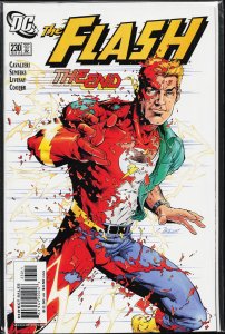 The Flash #230 (2006)