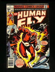 Human Fly #1