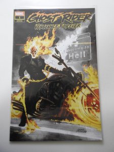 Ghost Rider: Vengeance Forever #1 Variant Edition