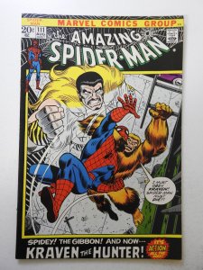 The Amazing Spider-Man #111 (1972) FN/VF Condition!