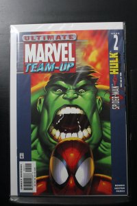 Ultimate Marvel Team-Up #2 (2001)