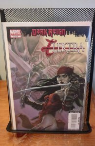 Dark Reign: Elektra #3 (2009)