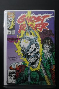 Ghost Rider #30 Direct Edition (1992)