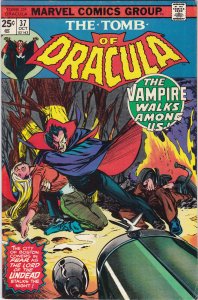 TOMB OF DRACULA #37 F/VF 