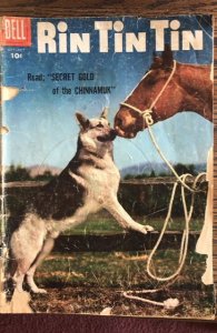 Rin Tin Tin #15 (1956)