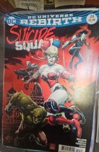 Suicide Squad #24 Variant Cover (2017)