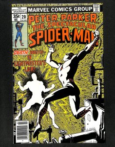 Spectacular Spider-Man #20