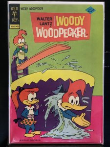 Walter Lantz Woody Woodpecker #138
