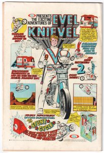 The Incredible Hulk #171 (1974) Hulk