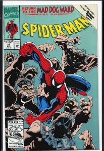 Spider-Man #29 (1992) Spider-Man