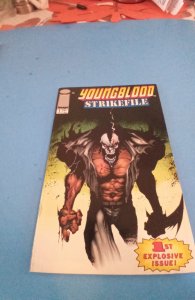 Youngblood Strikefile #1 (1993)