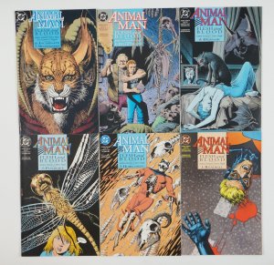 Animal Man: Flesh And Blood #1-6 VF/NM complete story #51-56 ; DC