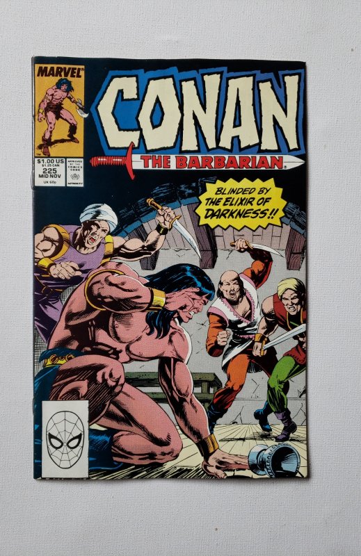 Conan the Barbarian #225 (1989)