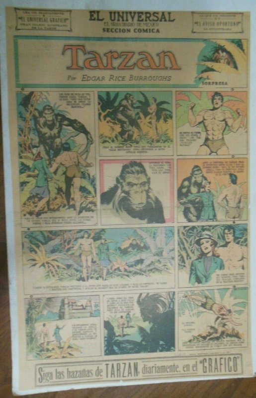 Tarzan Sunday Page #585 Burne Hogarth from 5/24/1942 in Spanish ! Full Page Size