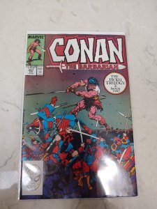 Conan the Barbarian #207 (1988)