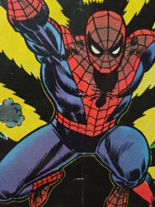 Marvel Comics The Amazing Spider-Man 135 August 1974 Return of the Punisher