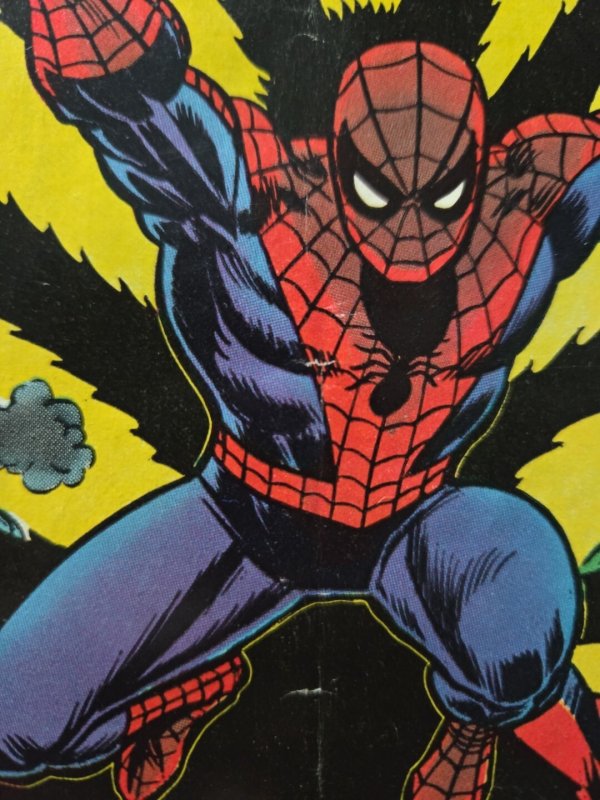 Marvel Comics The Amazing Spider-Man 135 August 1974 Return of the Punisher