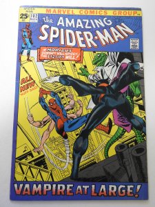 The Amazing Spider-Man #102 (1971) FN Condition!