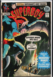Superboy #178 (1971)