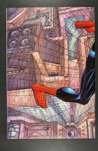 Peter Parker: Spider-Man #1 Newsstand Edition (1999)