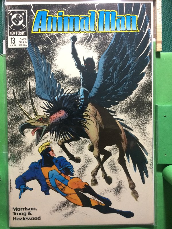 Animal Man #13