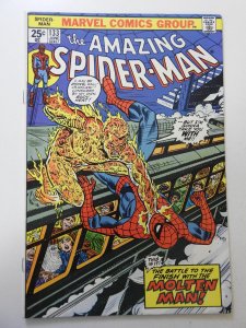 The Amazing Spider-Man #133 (1974) VF- Condition! MVS intact!