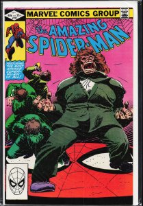 The Amazing Spider-Man #234 (1982) Spider-Man